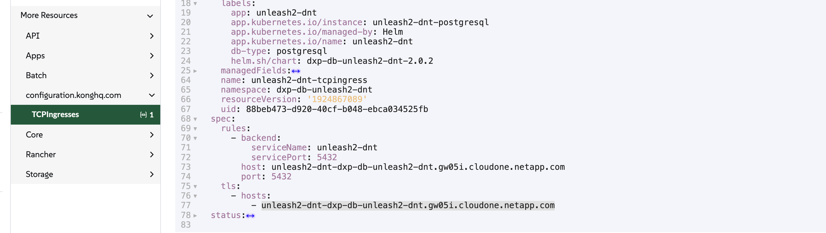 Rancher Database Hostname
